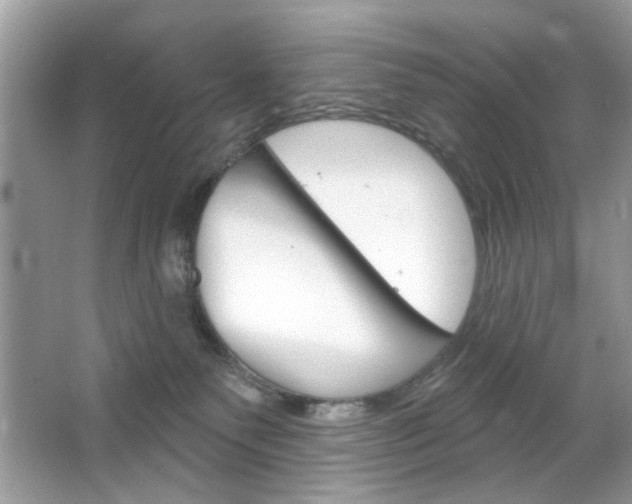 X0000064720135200602100941