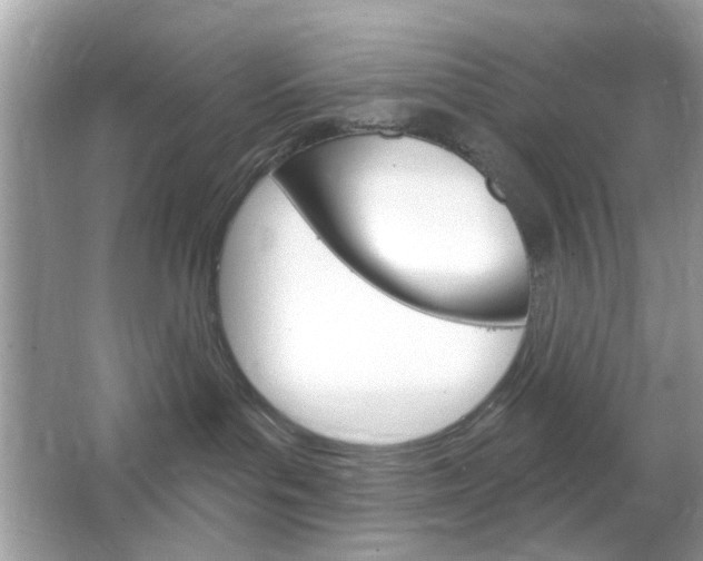 X0000064720143200602100941
