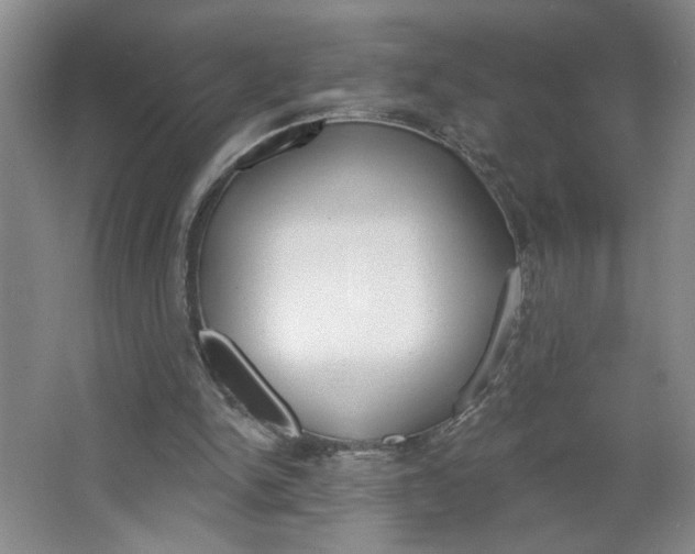 X0000064720150200602100941
