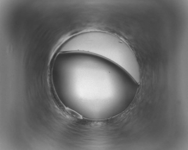 X0000064720152200602100941