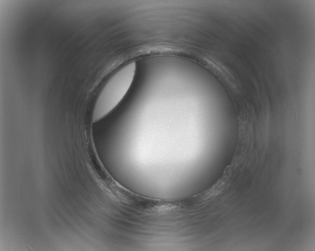 X0000064720158200602100941