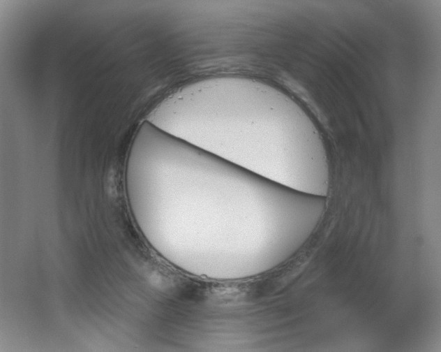 X0000064720161200602100941
