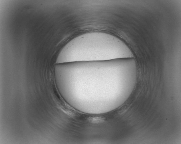 X0000064720165200602100941