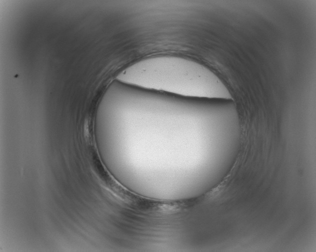 X0000064720166200602100941