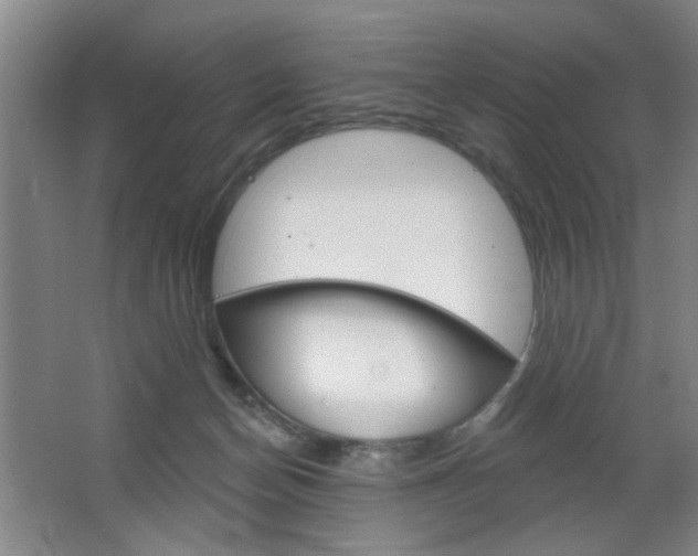 X0000064720174200602100941