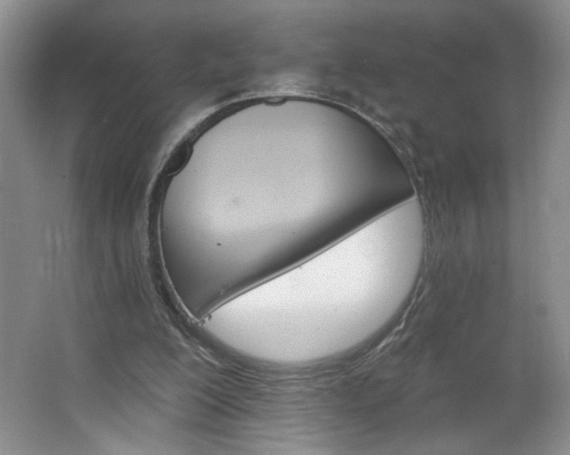 X0000064720200200602100940