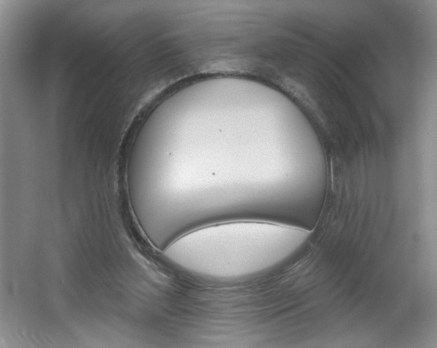 X0000064720204200602100940