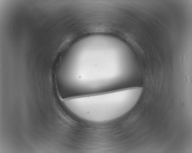 X0000064720207200602100940