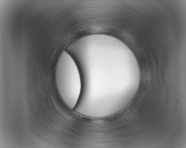 X0000064720214200602100940