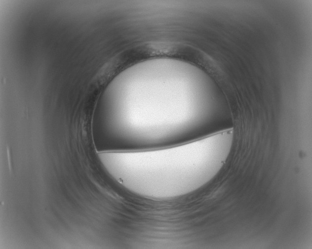 X0000064720215200602100940