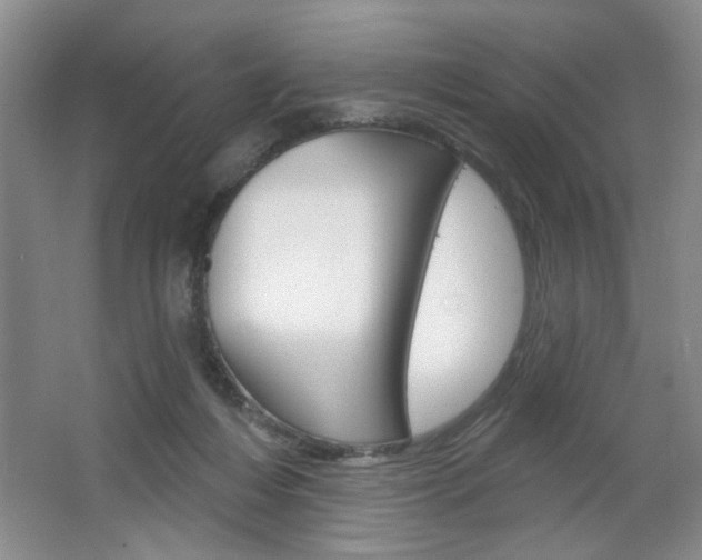 X0000064720216200602100940
