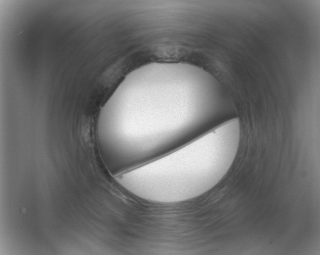 X0000064720233200602100940