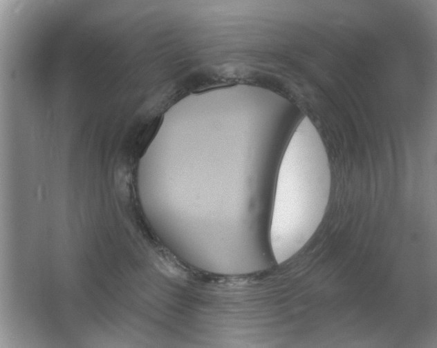 X0000064720235200602100940