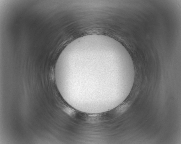 X0000064720240200602100940