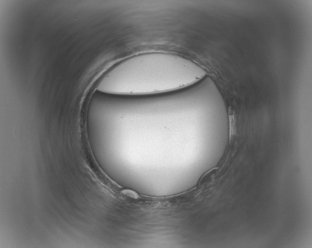 X0000064720243200602100939