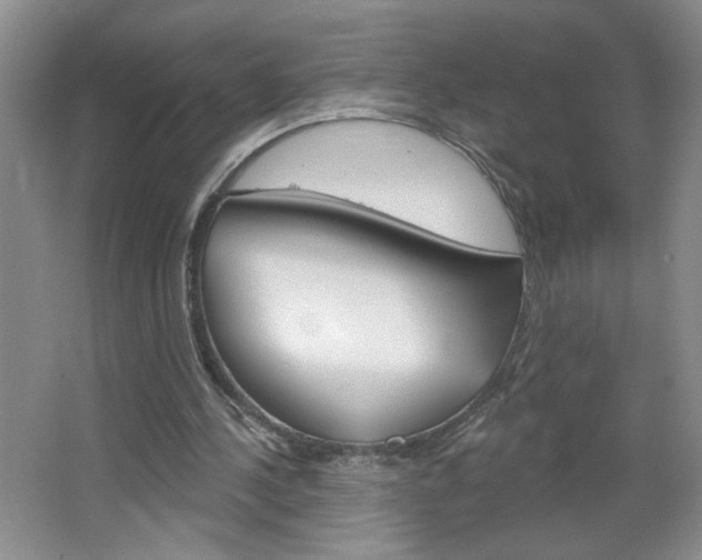 X0000064720244200602100939