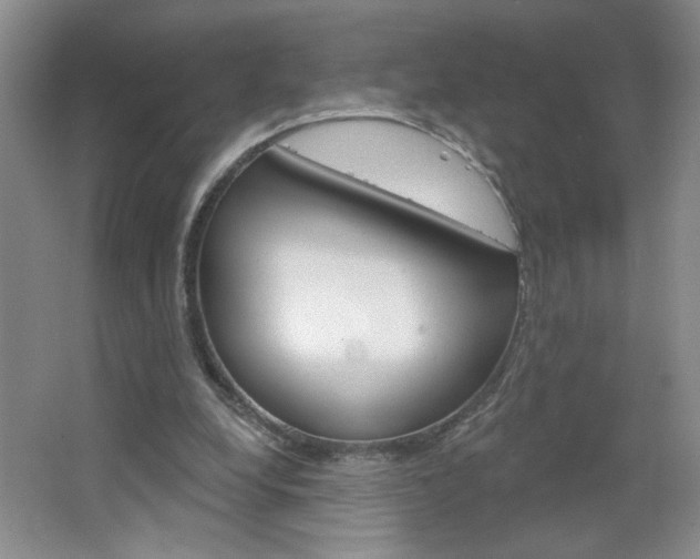 X0000064720248200602100939