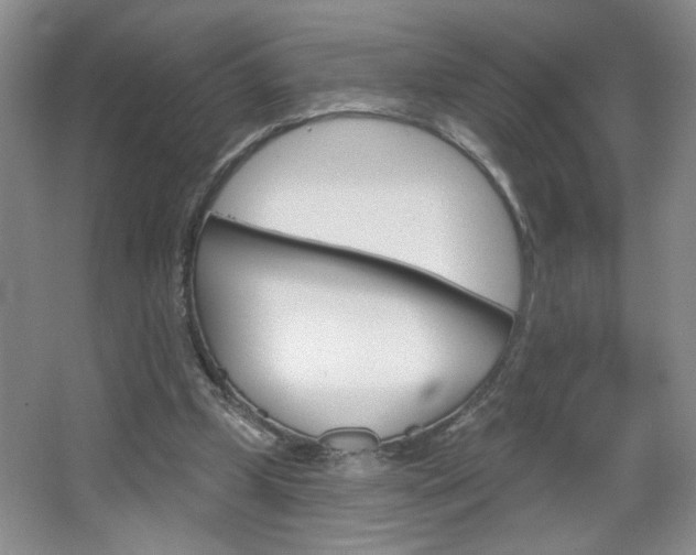 X0000064720249200602100939