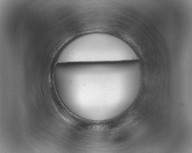 X0000064720251200602100939