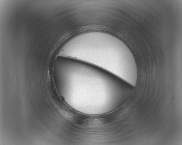 X0000064720254200602100939