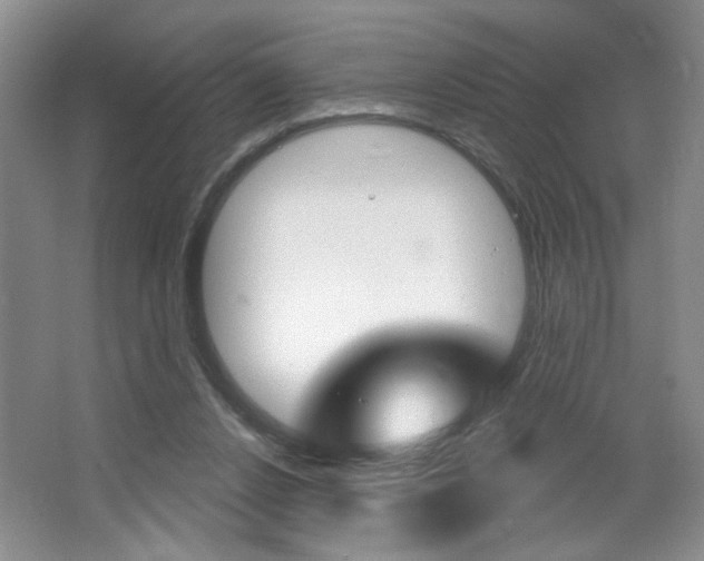 X0000064720256200602100939
