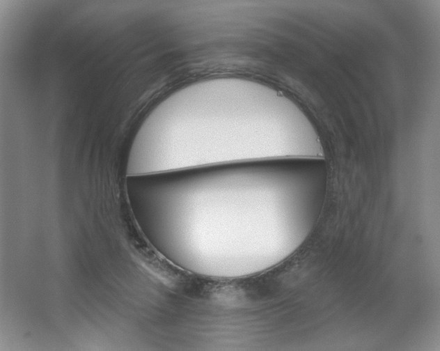 X0000064720258200602100939