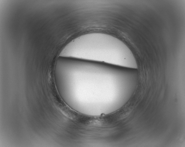 X0000064720259200602100939