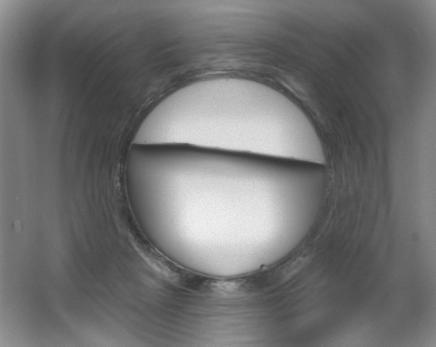 X0000064720265200602100939