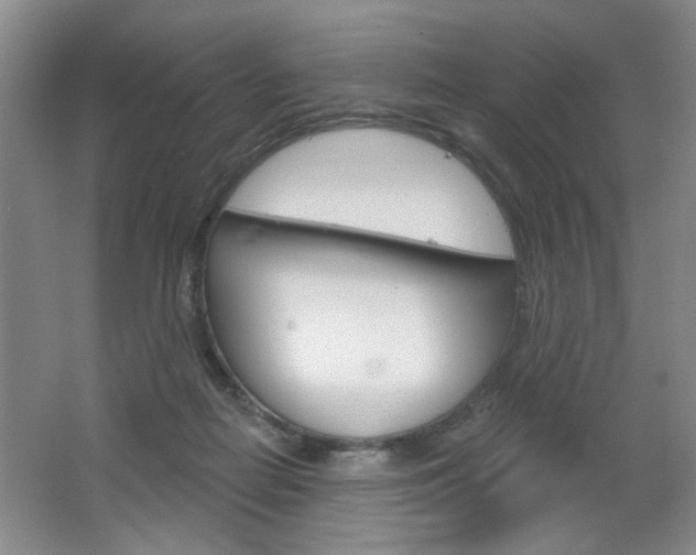 X0000064720266200602100939