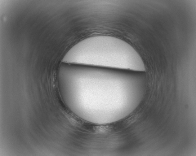 X0000064720273200602100939