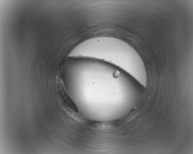 X0000064720284200602100940