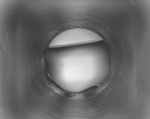 X0000064720288200602100940