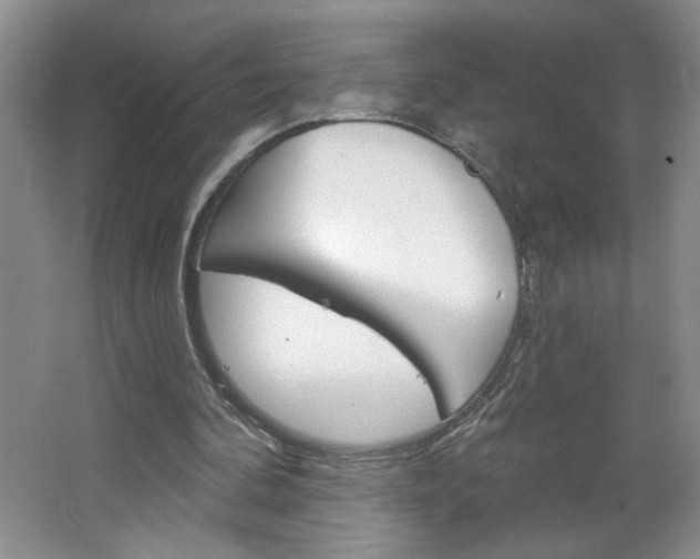 X0000064720292200602100939