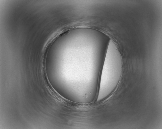 X0000064720293200602100939