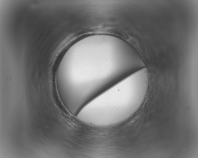 X0000064720295200602100939