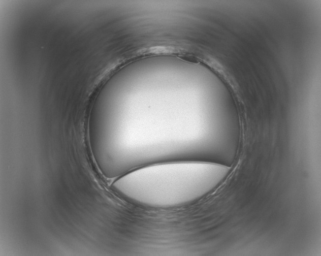 X0000064720297200602100939