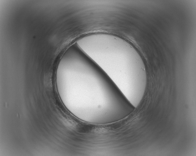 X0000064720299200602100939