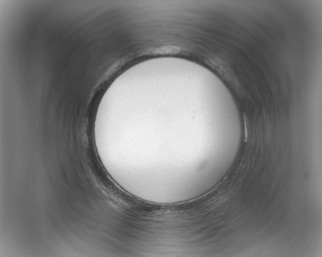 X0000064720300200602100939