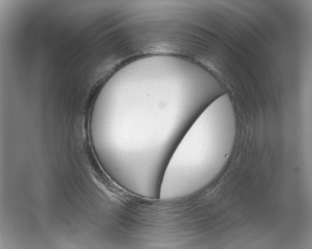 X0000064720302200602100939