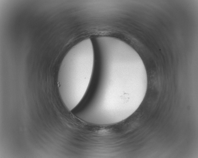 X0000064720312200602100938