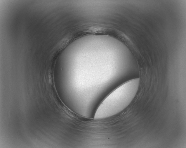 X0000064720313200602100938