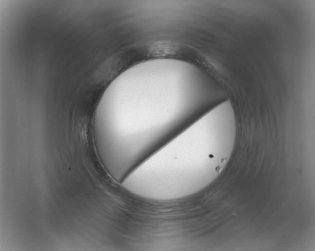 X0000064720315200602100938