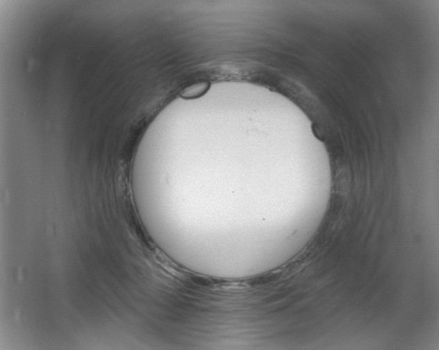 X0000064720318200602100938
