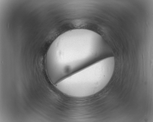 X0000064720319200602100938