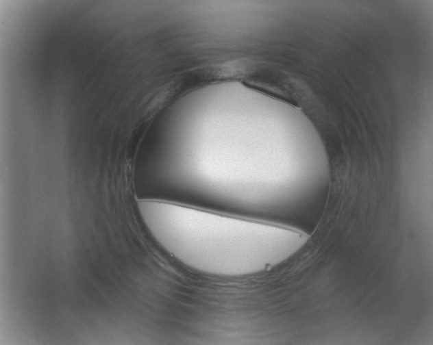 X0000064720325200602100938