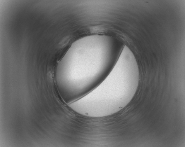 X0000064720329200602100938