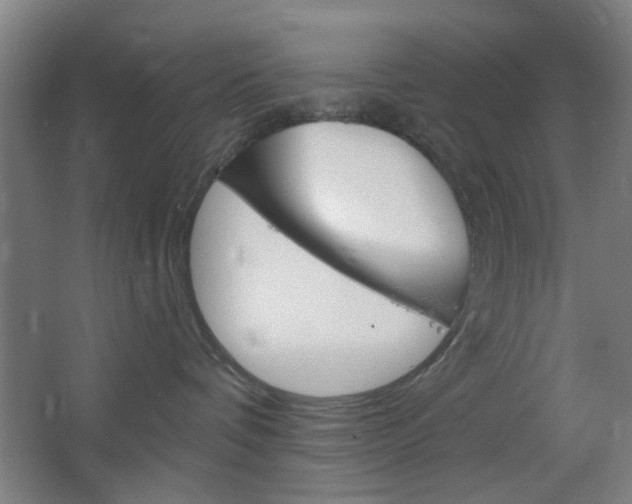 X0000064720336200602100938