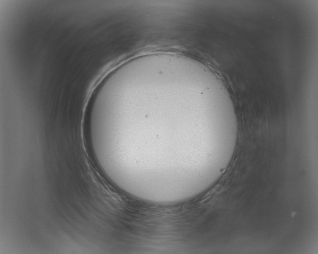 X0000064720340200602100937