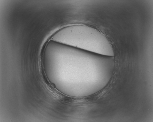 X0000064720342200602100937