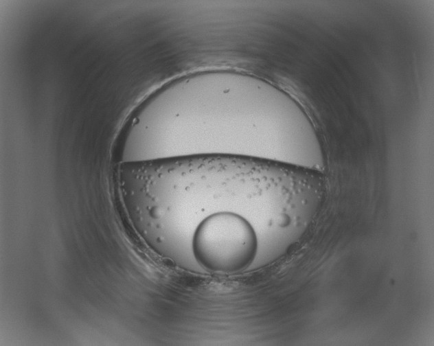 X0000064720346200602100937